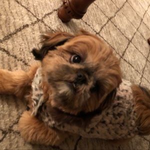 Meet your Posher, Kerry